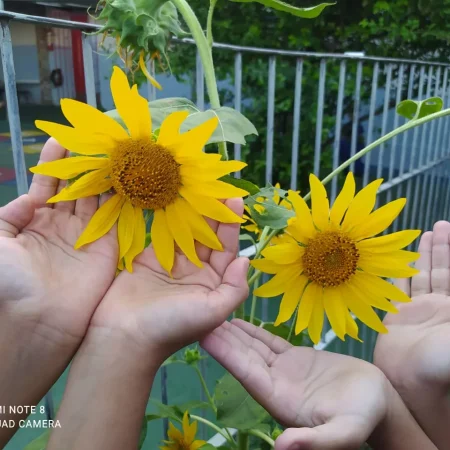 Instituto Educacional Emanuel